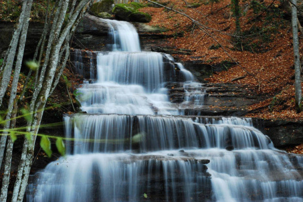 Il Parco Nazionale delle Foreste Casentinesi