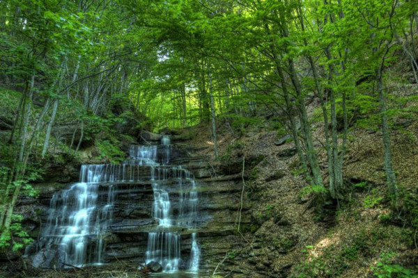 Il Parco Nazionale delle Foreste Casentinesi