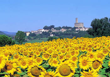 Poppi e il Castello dei Conti Guidi